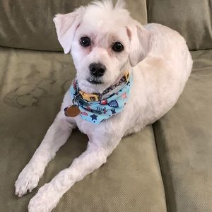 Meet your Posher, Mysti